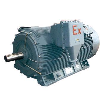 Мотори за опасно оптоварување