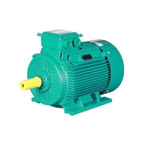 Нисконапонски мотори